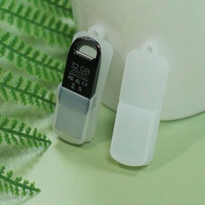 5x1.7cm de Schijf Beschermende Dekking van U, Multifunctioneel USB-Flitsgeval